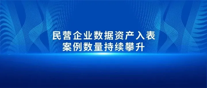民营企业数据资产入表案例数量持续攀升