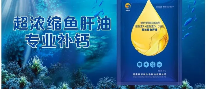 蛋鸡育成期的管理要点