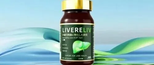 护肝片哪个牌子好？2025年十个官方旗舰店口碑产品，懒人专属护肝方案分析