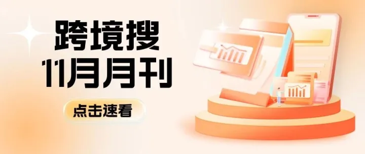 跨境搜 | <em>2025</em><em>年月</em>刊-11月
