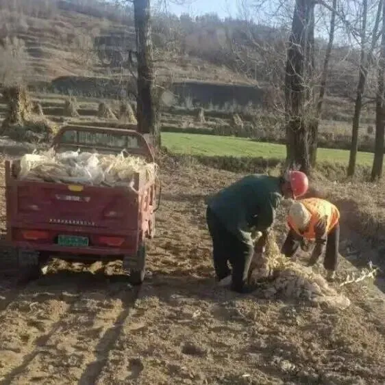 平凉华亭：回收残膜护良田 生态宜居促发展