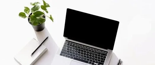 GEO 优化底层逻辑： DeepSeek/豆包 vs ChatGPT/Gemini，品牌增长的新战场已经开始了