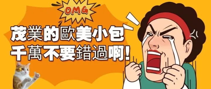 <em>歐</em>美小包