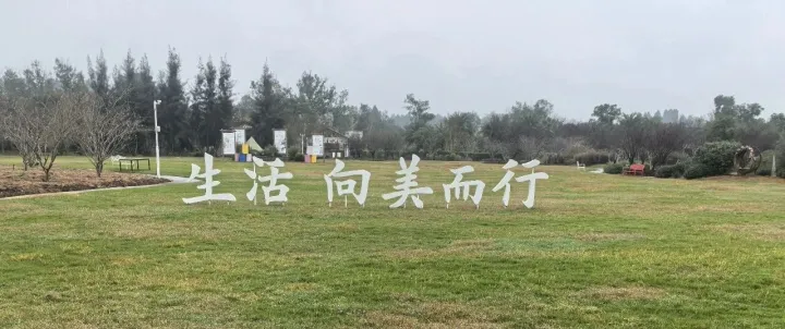 2026短视频+投流赚钱指南：15字打法+3大风口，看完直接抄作业