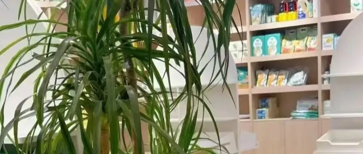 传统经销商困局突围：五大痛点压顶，线上转型解锁盈利新密码