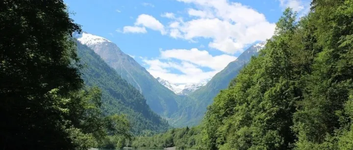 各地无票免征在实务中需要面对的一些问题