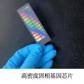 打破固相芯片技术国外垄断，拉索生物完成B轮融资