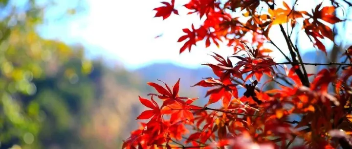 Day 303 在两个热爱之间，我找到了平衡