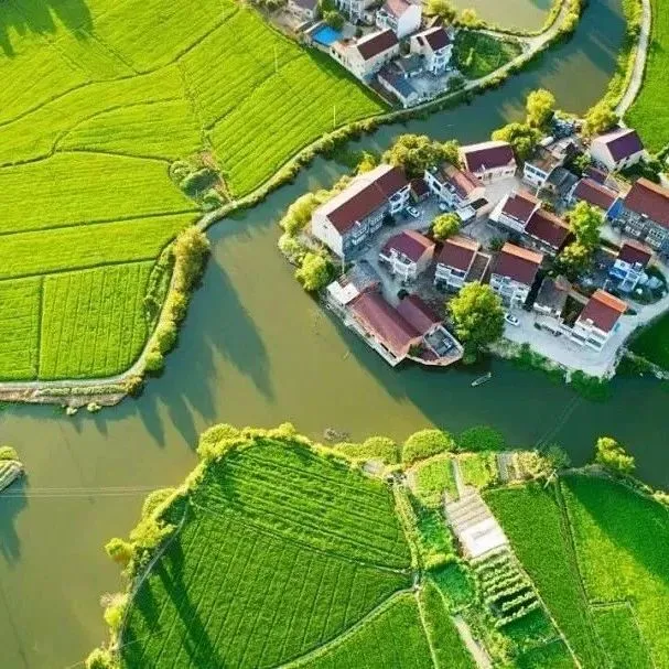 农副：羊毛澳洲<em>市场</em><em>表现</em>平稳，小麦<em>市场</em>走弱