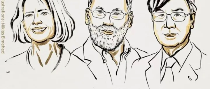 免疫系统的“监察”-Treg