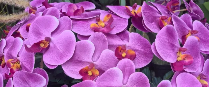 今年保链接至关重要！揭秘抖音本地生活流量逻辑，让你的门店流量拉满 