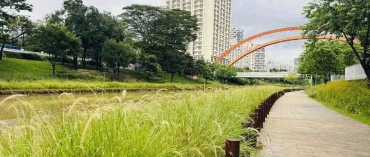 公司为股东与非股东承担的连带共同债务提供担保时，应由股东会决议