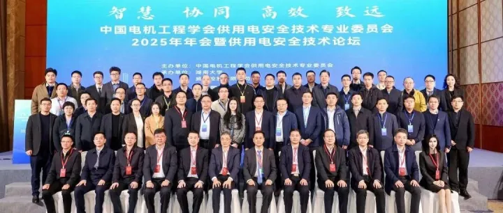 以技术创新谋远 筑牢供用电安全防线——威胜信息承办2025供用电安全技术论坛共绘行业蓝图