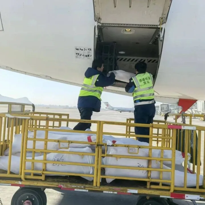 翔达公司货运保障工作纪实：高效保障显实力，深度融合促共赢