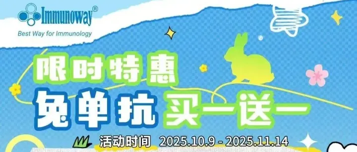 多款精品兔单抗全新上线，限时特惠兔单抗买一送一