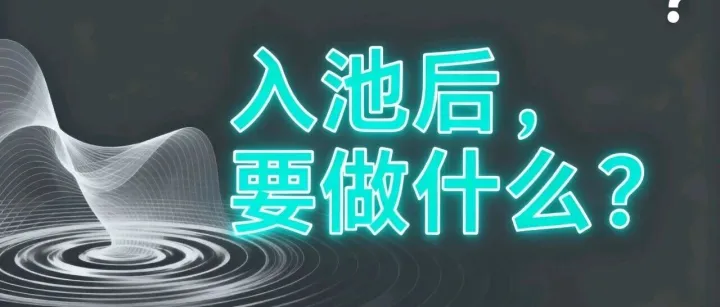 新手自媒体：突然入池迎来爆款，有个动作请一定要做