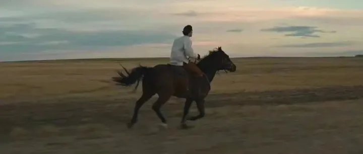 土耳其-马克罗维特霉菌毒素吸附解毒剂（原包装装进口）