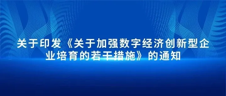 关于加强数字经济创新型企业培育的若干措施