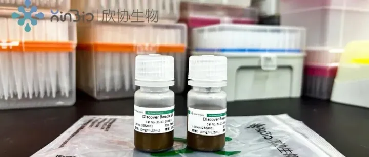 新品 | Discover Beads-SA