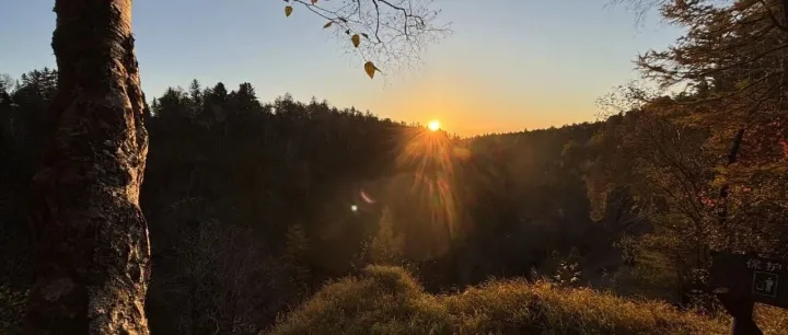 自主可控筑防线：从芯片突围到<em>数据库</em>崛起，中国<em>科技</em>的<em>安全</em>博弈之路