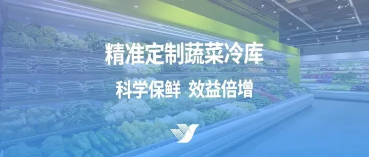 精准定制蔬菜冷库：科学保鲜，效益倍增
