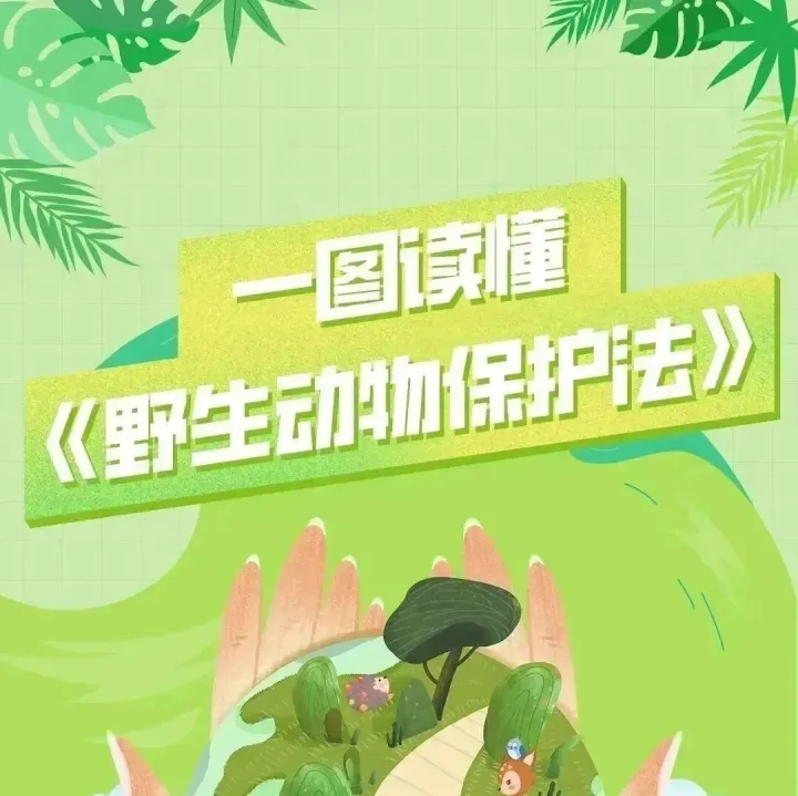 【法治宣传】保护<em>野生</em>动物及<em>鸟类</em>，共筑生态屏障