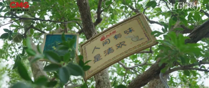 光影邂逅品质，《红石榴餐厅》主创同款体验尽在星龍国际酒店