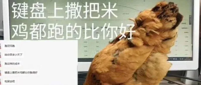 谷歌除了Pmax，其实还可以投Dgen，但只有这种投法有效。