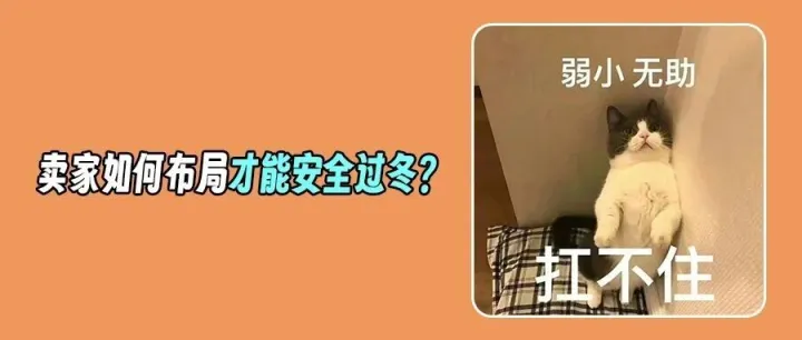 大乌龙？德国使馆辟谣23%加税传闻！美国黑五遭遇消费寒流？