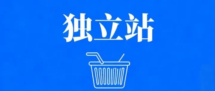 【独立站】日进斗金三板斧：老王血泪经验免费指南！