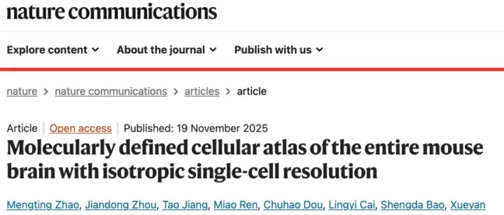 Nature子刊：中国院士团队领衔！绘制出20种细胞全脑三维分布图