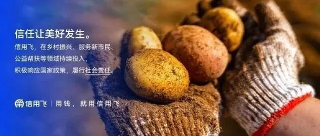 信用飞<em>智能金融：科技</em>引领，服务升级