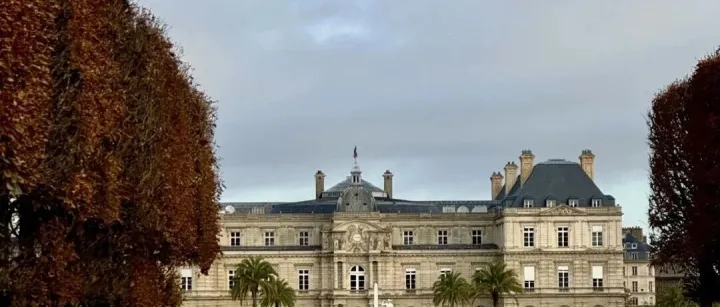 巴黎日记｜卢森堡公园的秋叶，安慰了我孤单的黄昏