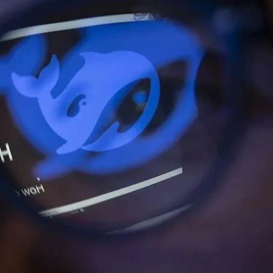 DeepSeek，<em>上</em><em>新</em>