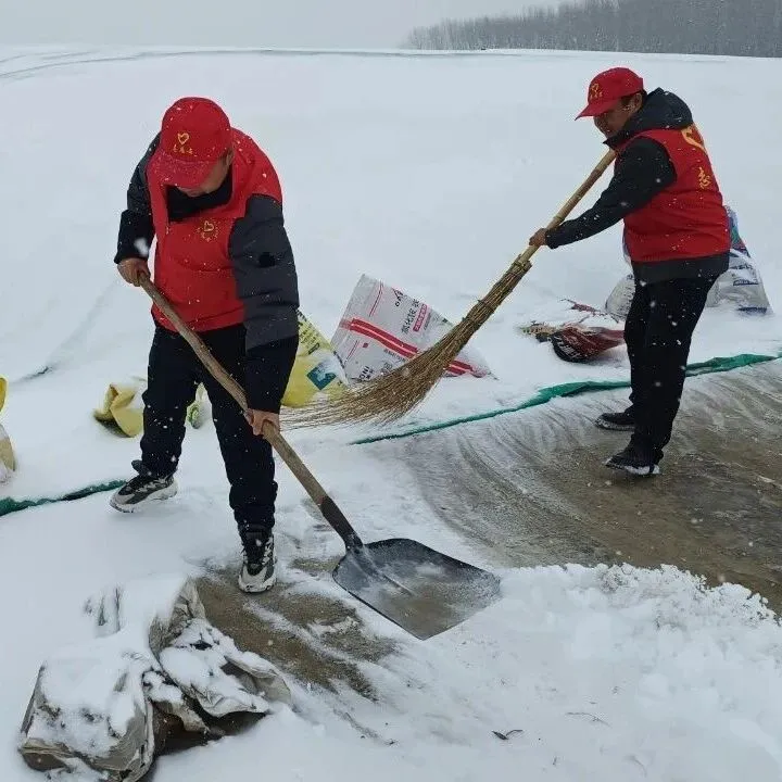 闻雪而动显担当 志愿服务暖人心