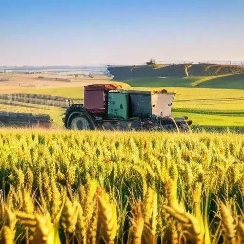 8 大认知误区让 90% 产品难出圈！3 步重构价值内核