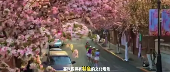 天津文化深度游：主题场景精准引力视频拆解分析：以专业和服务实现流量转化