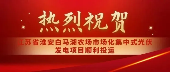 热烈祝贺淮安白马湖农场市场化集中式光伏发电项目顺利投运