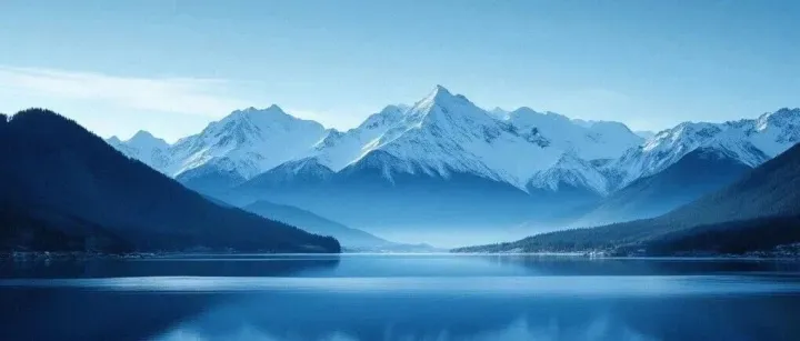 反反爬攻防实战：保障<em>数据</em>采集<em>持续</em>稳定<em>的</em>关键<em>技术</em>