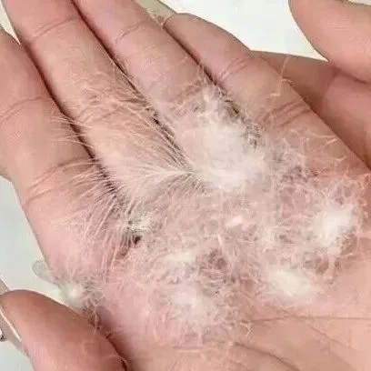 竟把鹅绒塞进<em>T</em><em>恤</em>里?