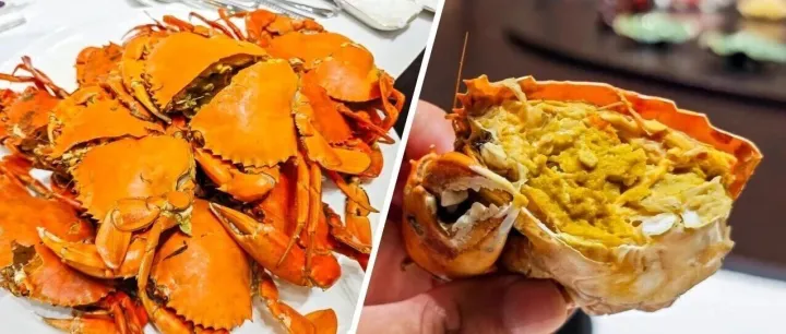 曾经高达1500元一只！湛江这群年轻人，把价格打下来了→