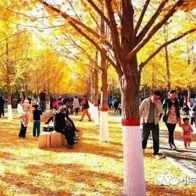 小学语文常考的10<em>个</em>作文主题及<em>开头</em>结尾，收藏学习！