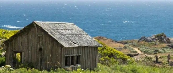 闲鱼副业月入 5000 + 的人，都有这 4 个共性特征（普通人也能复制）