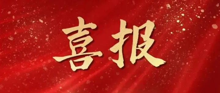 枣庄财金集团荣获全国<em>数据</em>技术<em>与</em>应用<em>职业</em>技能竞赛三等奖