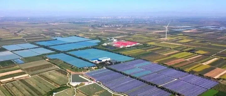 山水馈<em>渭南</em> 农业盛产 “西北鲜滋味”