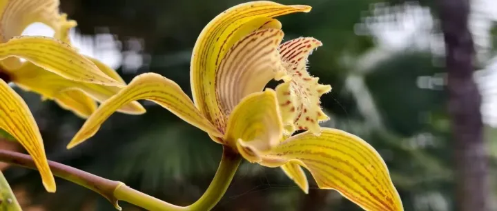 <em>茶</em><em>乡</em>快讯 | 新闻早知道（2025年11月23日）