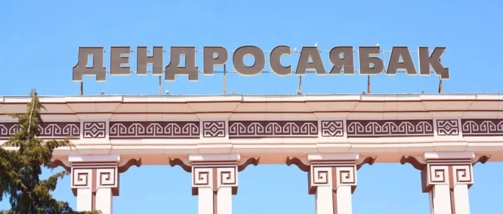 【<em>一带一路</em>·观察】中亚出海机会初探