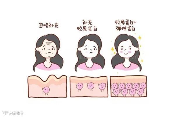 妮凯丽胶原蛋白是什么档次