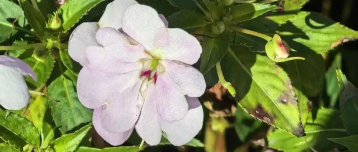 燕<em>理</em>札记｜请<em>查</em>校园冬日的第一封<em>信</em>