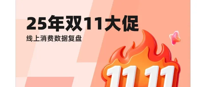 2025双11大促消费数据盘点